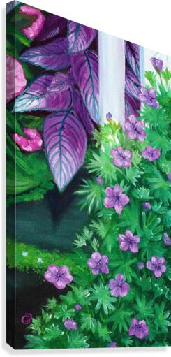 Geraniums Canvas Print