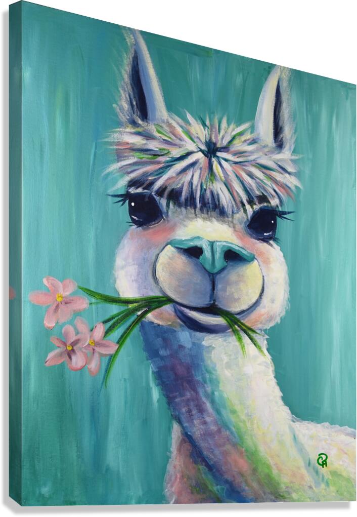 Alpaca Canvas Print