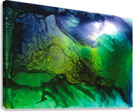Troll  Canvas Print