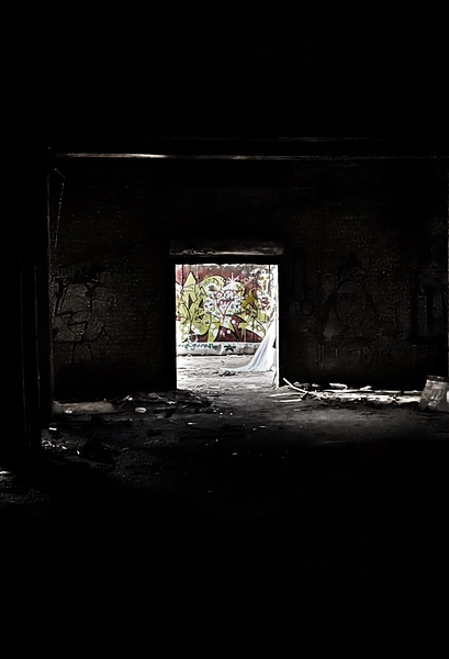Urban ExplorationNature 23 by Jim Graham