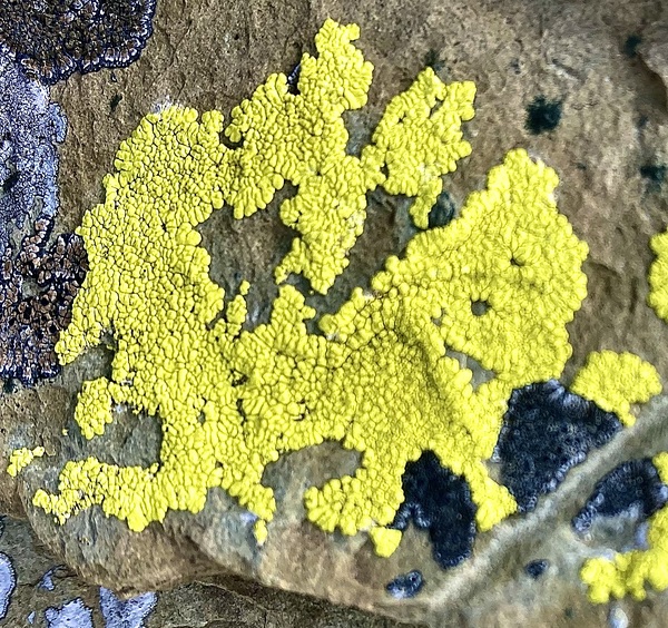 Urban ExplorationNature 24 by Jim Graham