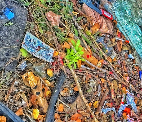Urban ExplorationNature 40 by Jim Graham