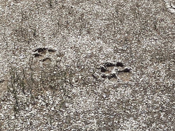 Urban ExplorationNature 35 by Jim Graham