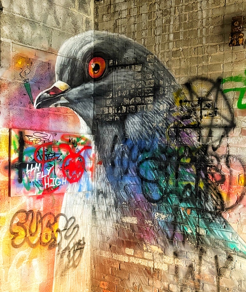 Urban ExplorationNature 20 by Jim Graham