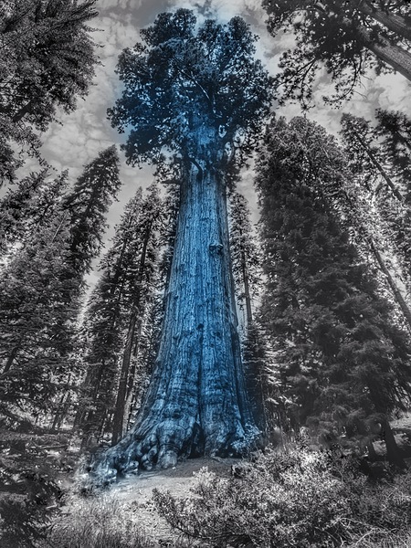 Urban ExplorationNature 12 by Jim Graham