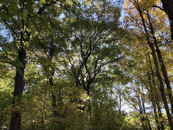 Urban ExplorationNature 3 by Jim Graham