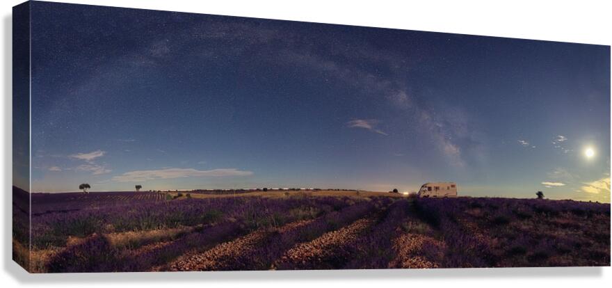 Pano 2  Canvas Print