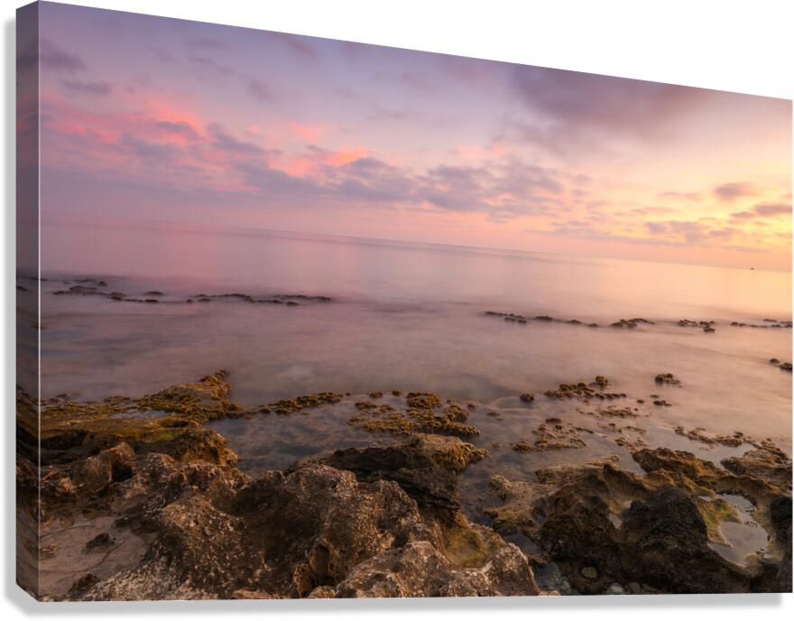 boat Canvas Print