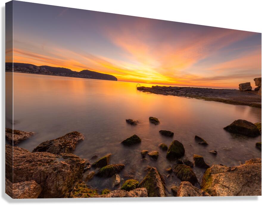 rock Canvas Print