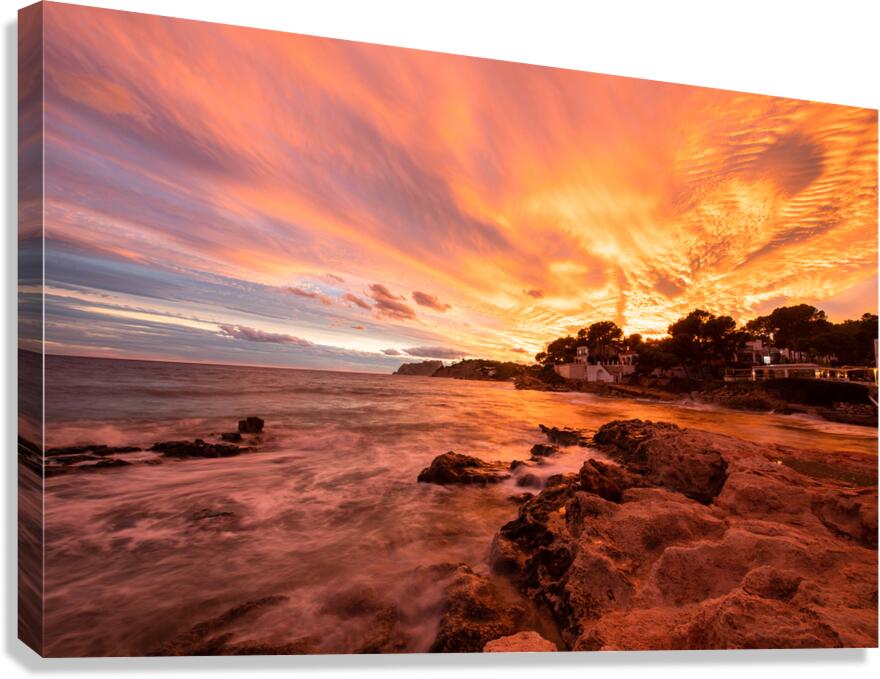 D850211 Canvas Print