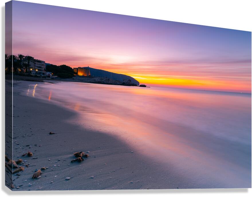 the castle Canvas Print
