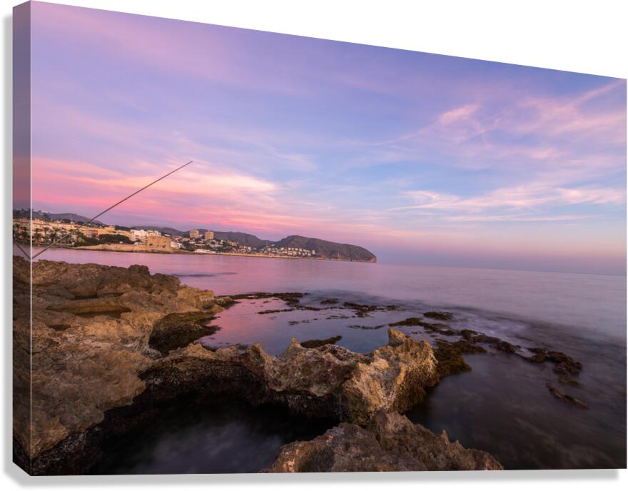 1 Canvas Print