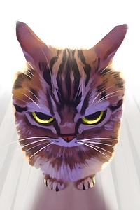 Symmetry of the Feline Mind