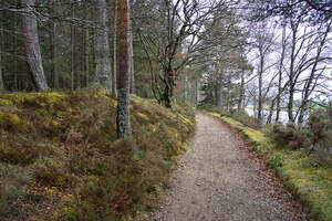  Scotland hiking trail along the forest edge with River Dee alongside  DSC5128  1