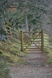 Scotland Access Code says: Use a gate where one has been provided and leave it as you find it. Do not climb over gates fences dykes or hedges unless there is no reasonable alternative nearby.   DSC5129  1