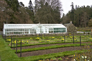 Balmoral Castle greenhouse in early spring   DSC5161  1