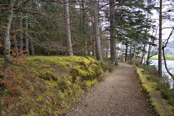  Scotland hiking trail along the forest edge with River Dee alongside  DSC5127  1 by RonM