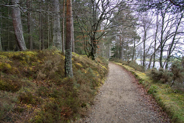  Scotland hiking trail along the forest edge with River Dee alongside  DSC5128  1 by RonM