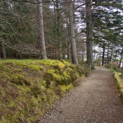  Scotland hiking trail along the forest edge with River Dee alongside  DSC5127  1