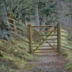 Scotland Access Code says: Use a gate where one has been provided and leave it as you find it. Do not climb over gates fences dykes or hedges unless there is no reasonable alternative nearby.   DSC5129  1