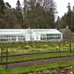 Balmoral Castle greenhouse in early spring   DSC5161  1