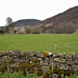 Farm home surrounded by lush green meadow and a rock fence covered with moss   DSC5167  1