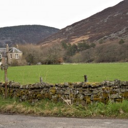 Farm home surrounded by lush green meadow and a rock fence covered with moss   DSC5171  1