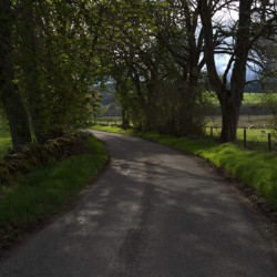 Narrow Scotland rural road bathed in lush green follage  DSC6377