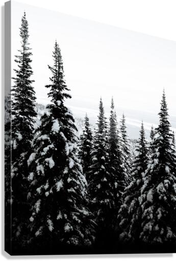 Cold View Canvas Print
