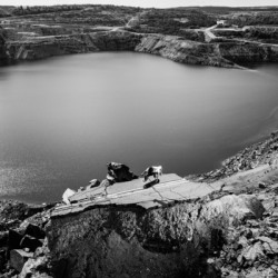 Wasteland - bnw