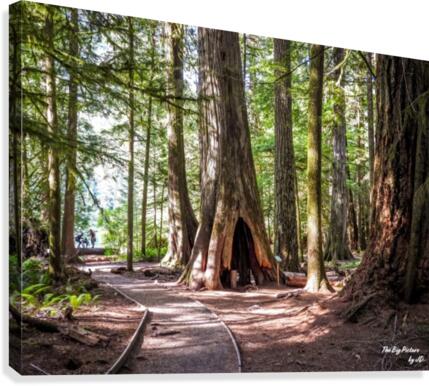Cathedral Walk Canvas Print