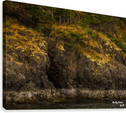 Just Rugged Canvas Print