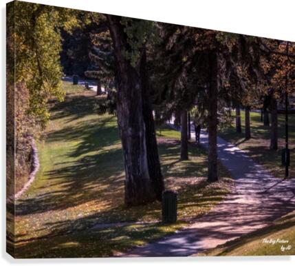 Saskatoon Park Canvas Print