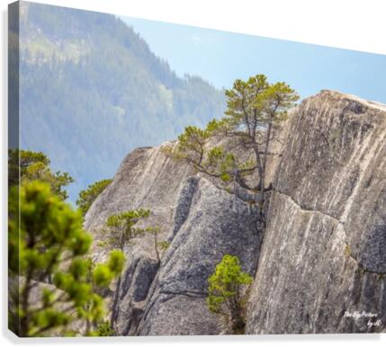 Squamish Chief Canvas Print