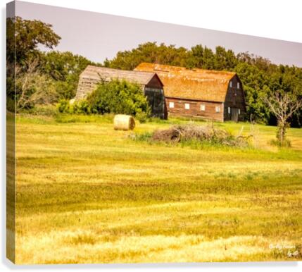 Saskatchewan Barn Canvas Print