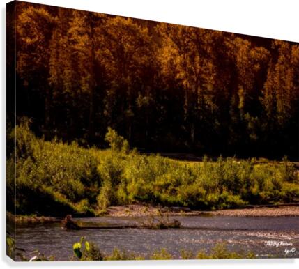 Elk River Canvas Print