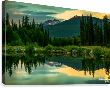 Mike Wigley Canvas Print
