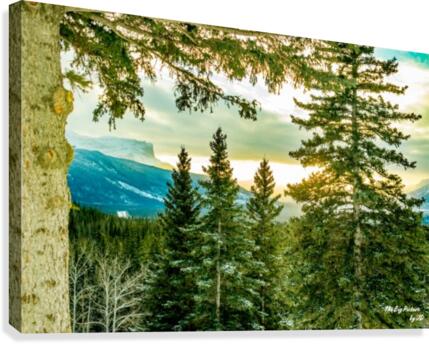 Overlander Lookout Canvas Print
