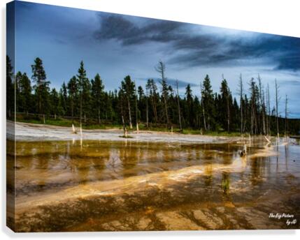 Yellowstone Branch Canvas Print