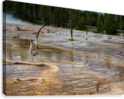 Yellowstone Forgotten Canvas Print