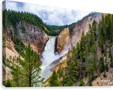 Yellowstone Lower Falls Canvas Print