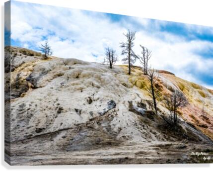 Yellowstone Mammoth Canvas Print