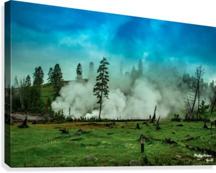 Yellowstone Mist Canvas Print