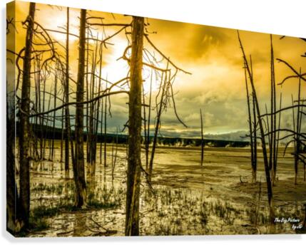 Yellowstone Scent Canvas Print