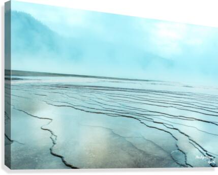 Yellowstone Pressing Canvas Print