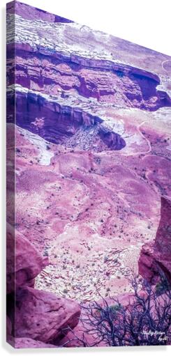 Canyonlands Canvas Print