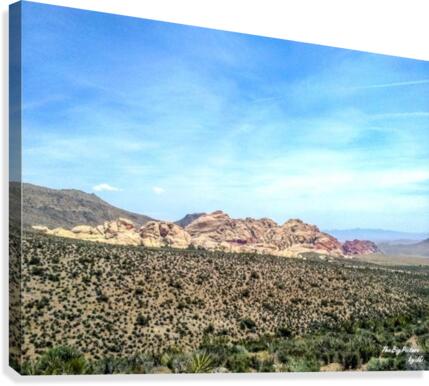 Red Rock View Canvas Print