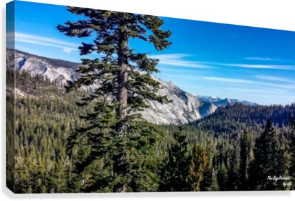 Olmsted Point Canvas Print