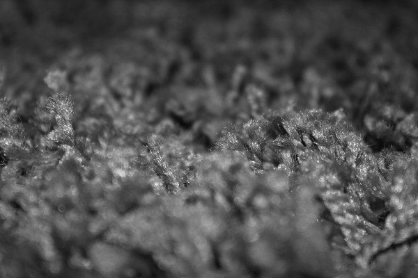 0000IMG_0610 by Frasa