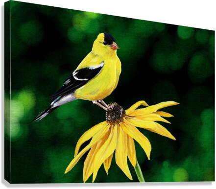 Sitting Pretty Canvas Print